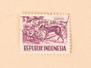 INDONESIA - CIRCA 1970: A stamp printed in Indonesia shows a mouse deer, circa 1970