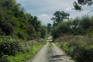 camino por las sierras tierra