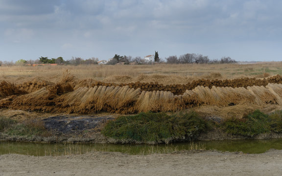 Camarga (en franc&eacute;s, Camargue; Camarga en occitano provenzal seg&uacute;n la norma cl&aacute;sica, Camargo seg&uacute;n la norma mistraliana) es una regi&oacute;n natural del sur de Francia,.