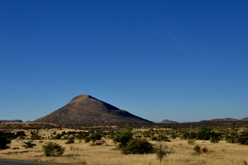 Naklejka na ściany i meble Desert landscape and vegetastion in the south of Namibia near Retboog