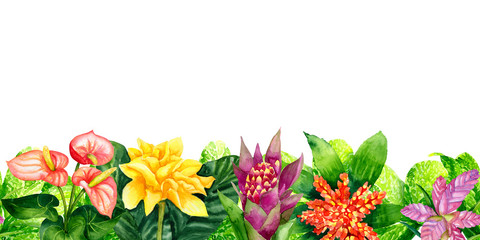 Watercolor border with tropical flowers isolated on white