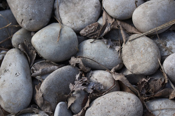 Round stones with dry leaves