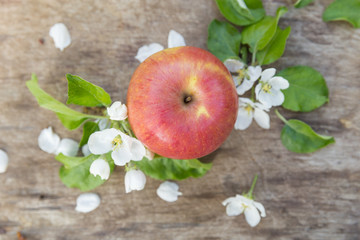 Fresh sweet juicy red apples with flowers on a wooden background