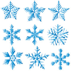 Set of snowflakes. Decoration for your design. Decoration for christmas greeting card. Vector EPS10.