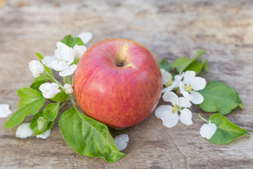 Fresh sweet juicy red apples with flowers on a wooden background