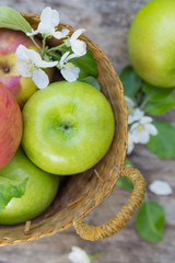 Fresh sweet juicy red and green apples with flowers on a wooden background