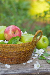 Fresh sweet juicy red and green apples with flowers on a wooden background