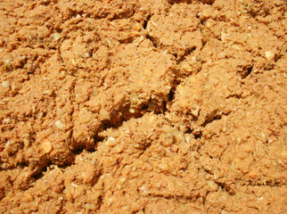Fruit pulp for the production of alcoholic beverages