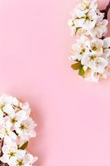 Pattern of white flowers on a pastel pink background. Spring background. Flat lay, copy space, top view.