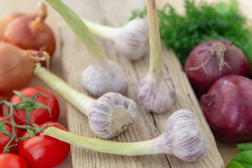 Close-up of fresh vegetables (tomatoes, onions, radishes, grass, garlic) on a wooden board.