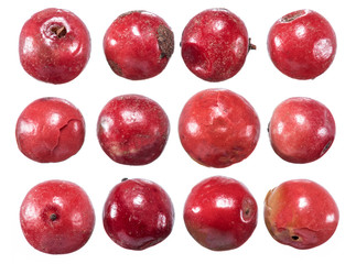 Set of red peppercorns isolated on white background.