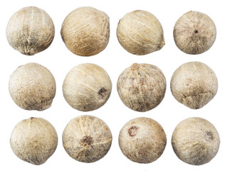 Set of white peppercorns isolated on white background.