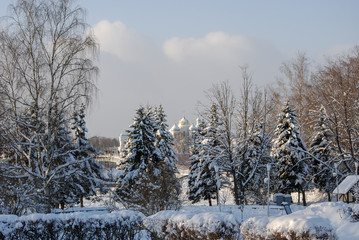 Beautiful winter view of the Sofia Cathedral of the Novgorod Kremlin through snow-covered spruces. Veliky Novgorod