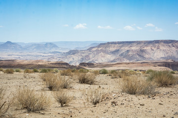 Fish River Canyon, Namibia with bushes in front 