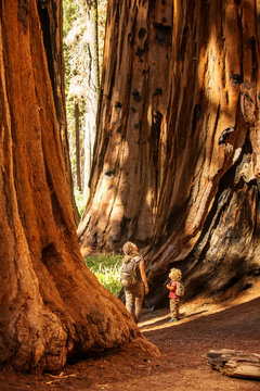 Family With Boy Visit Sequoia National Park In California, USA