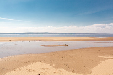 Fototapeta na wymiar sandy beach by the sea