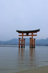 厳島神社 鳥居 満潮