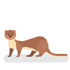 Weasel animal with a brown fur. Cute funny and small