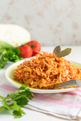 Homemade cabbage stew made from: cabbage, onion, carrot, celery and tomatoes.