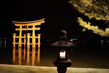 厳島神社の鳥居 ライトアップ