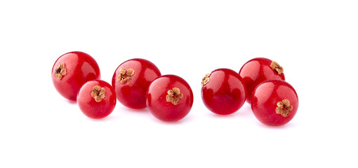 Red currant berries on White Background