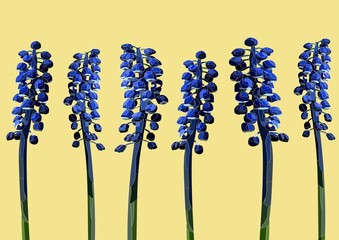 muscari flowers realistic vector art set on a beige background