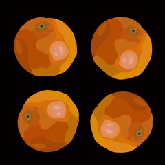 three orange,clementine citrus set. Realistic vector art isolated in black