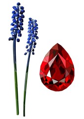 realistic vector art set with ruby diamond and muscari flower on a white background. Vintage and retro style.