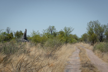 Namibia, Landscape, Road, Desert