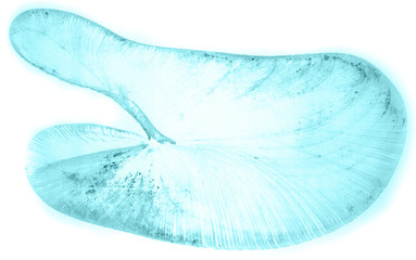 Abstract watercolor background hand-drawn on paper. Volumetric smoke elements. Blue-Green color. For design, web, card, text, decoration, surfaces.