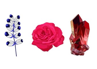 realistic beautiful vector set with rose, acacia and ruby crystall. Vintage and retro style.