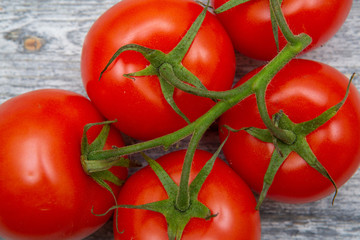 tomatoes on a branch isolated on a wooden background