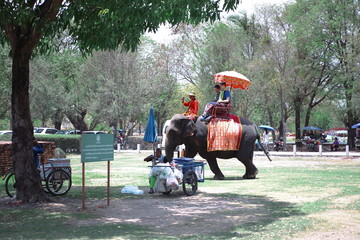 タイ　アユタヤ遺跡　象乗り　エレファントライディング　観光地