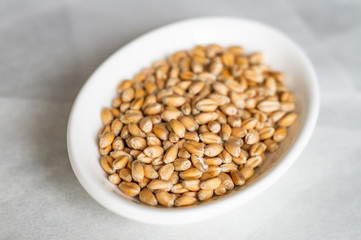 Wheat grains on a white plate