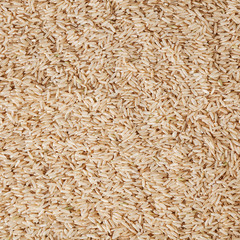 Dried brown long-grain rice background