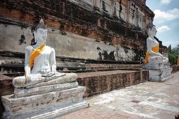 並んでいる　仏陀　黄色い袈裟を巻く　タイの歴史上最大の王朝アユタヤ　世界遺産　タイ王国　アユタヤの人気寺院「ワット・ヤイチャイモンコン」。高さ約72メートルの仏塔は、遠くからも見えるアユタヤのランドマーク的存在
