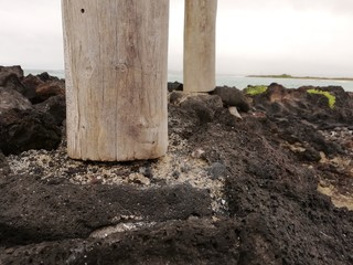 Galápagos