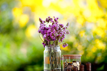 Close-up images of money and dollar banknotes Saving money to create business money Business concept