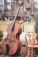 iron violin in the park, a musical instrument