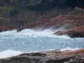 Olas rompiendo en la playa y surfistas esperando la Ola para cabalgarla