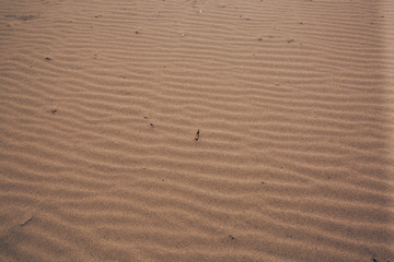 sandy beach, sand texture, desert