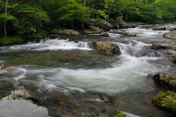 Little Pigeon River in Greenbrier, Smoky Mountains, TN, USA