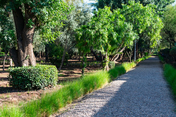 Trees and Plants along a Pathway at Cyber Park in Marrakech Morocco