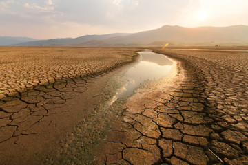 Dried lake and river on summer, Water crisis at africa or ethiopia and Climate change or drought concept. - obrazy, fototapety, plakaty