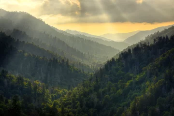 Fotobehang Sunset on Morton's Overlook in Great Smoky Mountains National Park, Tennessee, USA © Darrell Young