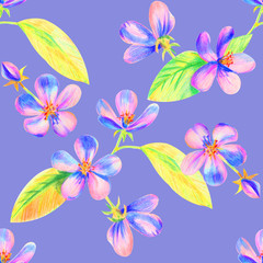 Fototapeta na wymiar Flowers of apple Sakura drawing with colored pencils. Template for greeting card. Wedding card