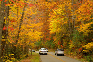 Naklejka premium Tourists in Great Smoky Mountains for autumn's beauty