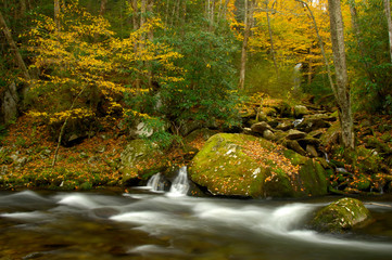 Little Pigeon River in autumn at Great Smoky Mountains