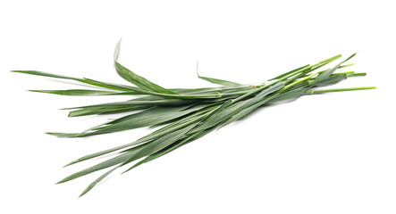 Fototapeta premium Green mowed young wheat isolated on white background, with clipping path