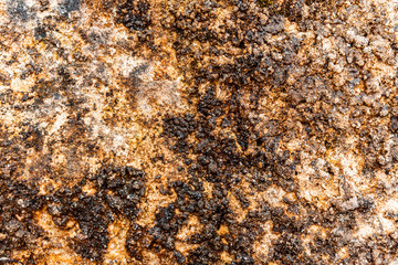 Eroded abstract ocean rock texture.